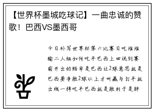 【世界杯墨城吃球记】一曲忠诚的赞歌！巴西VS墨西哥