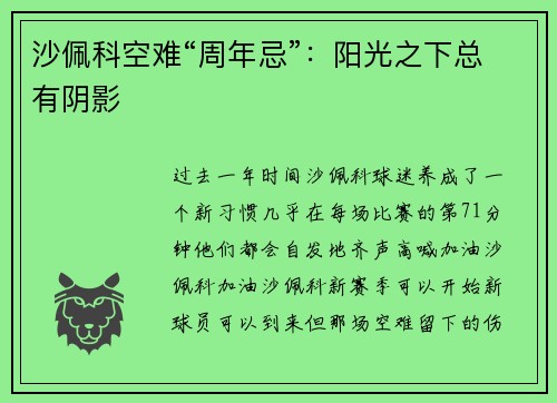 沙佩科空难“周年忌”：阳光之下总有阴影