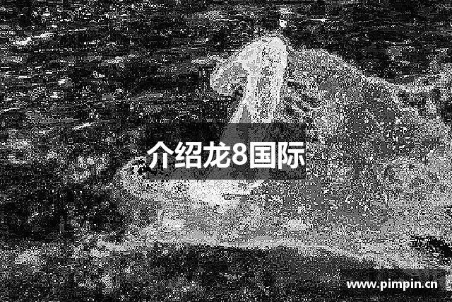 介绍龙8国际